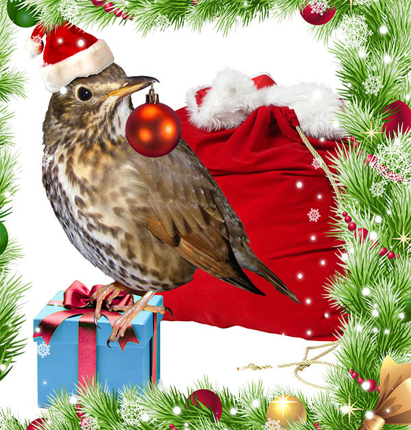 http://content.foto.my.mail.ru/mail/hummel9/374/h-387.jpg