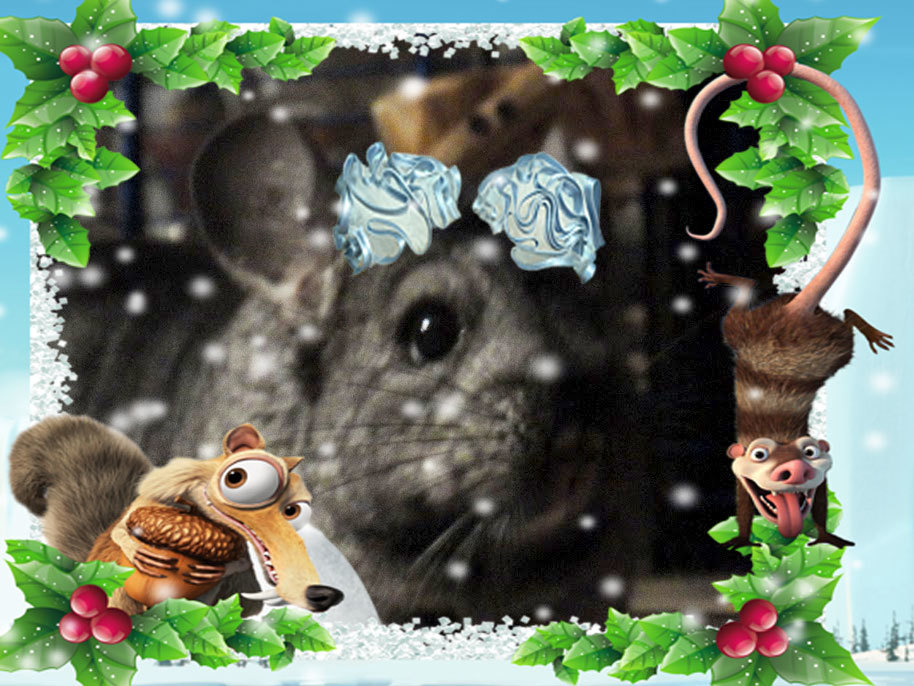 http://content.foto.my.mail.ru/mail/hummel9/374/h-409.jpg