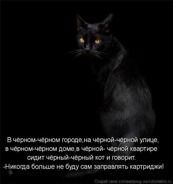 Чёрный стих про кошек Чёрный стих про кошек