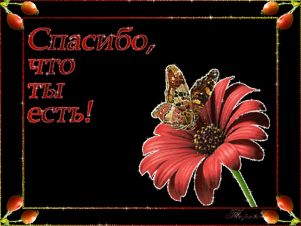 Открытки спасибо.что ты есть Открытки спасибо.что ты есть