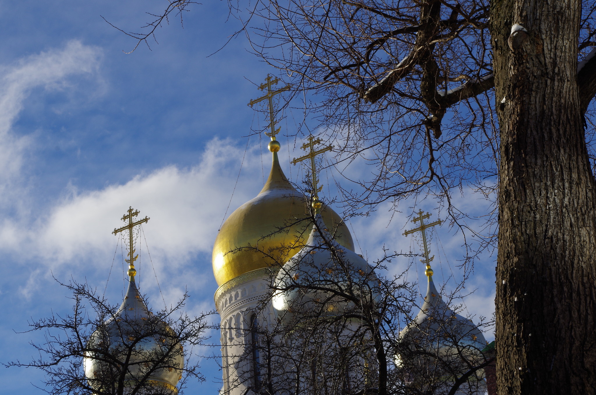 Зачатьевский ставропигиальный женский монастырь
