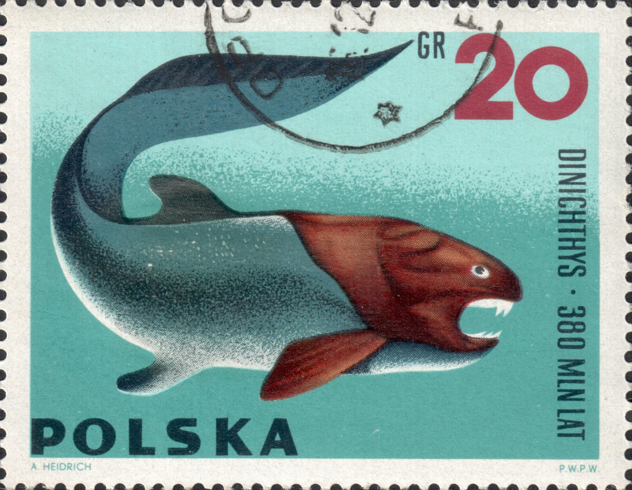 Большинство реконструкций Динихтис (Dinichthys) изображают Дунклеостей (Dunkleosteus)