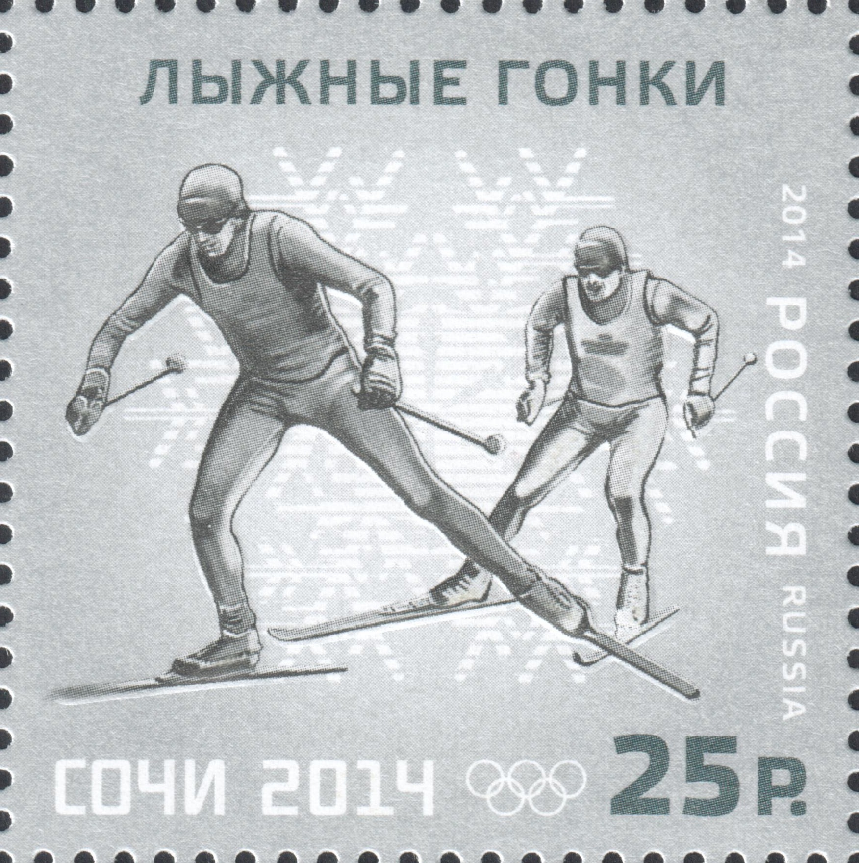 Лыжные гонки