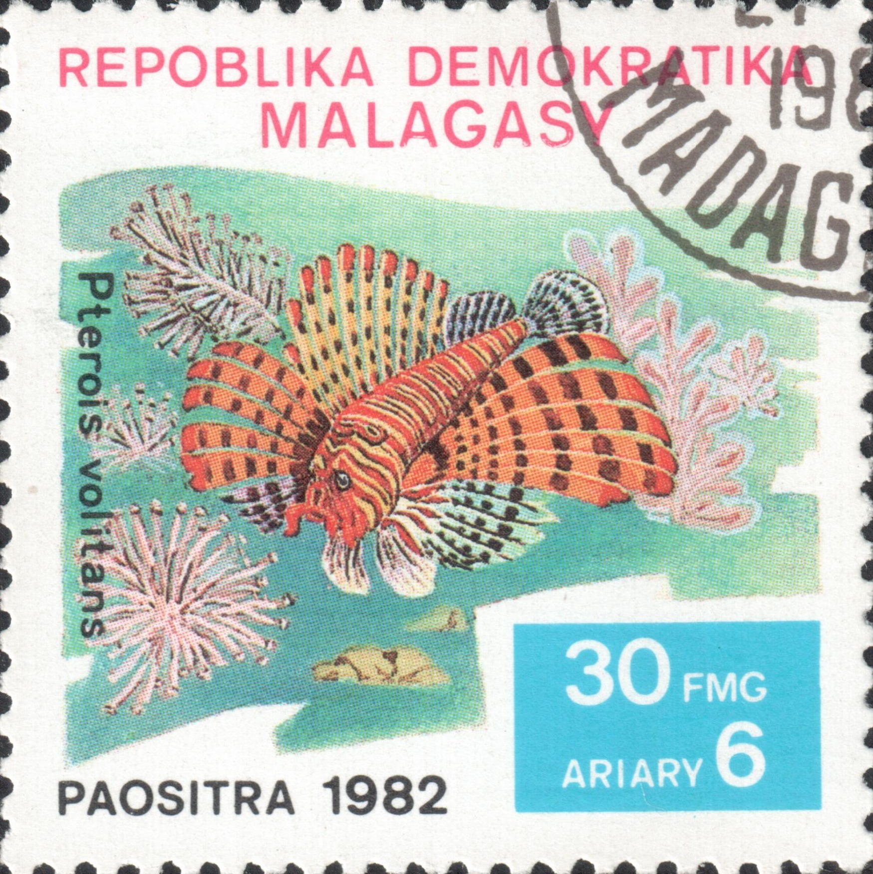Крылатка-зебра (Pterois volitans)