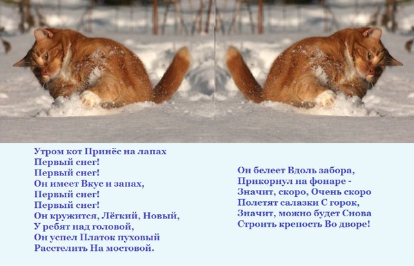 Стих о коте и снеге Стих о коте и снеге