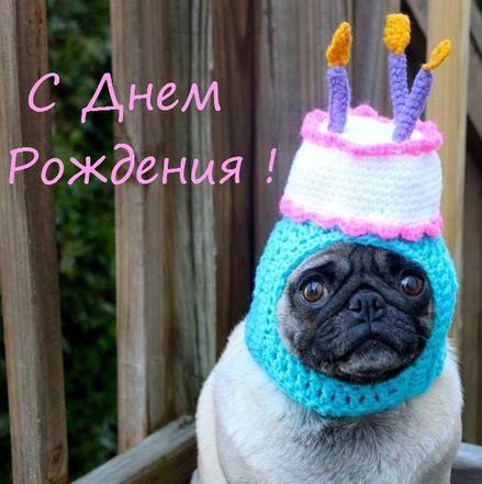 Ромулька с днем рождения Ромулька с днем рождения