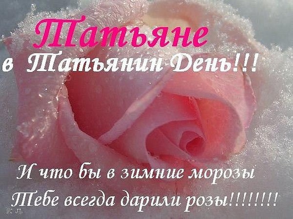 25 января татьянин день поздравления прикольные 25 января татьянин день поздравления прикольные