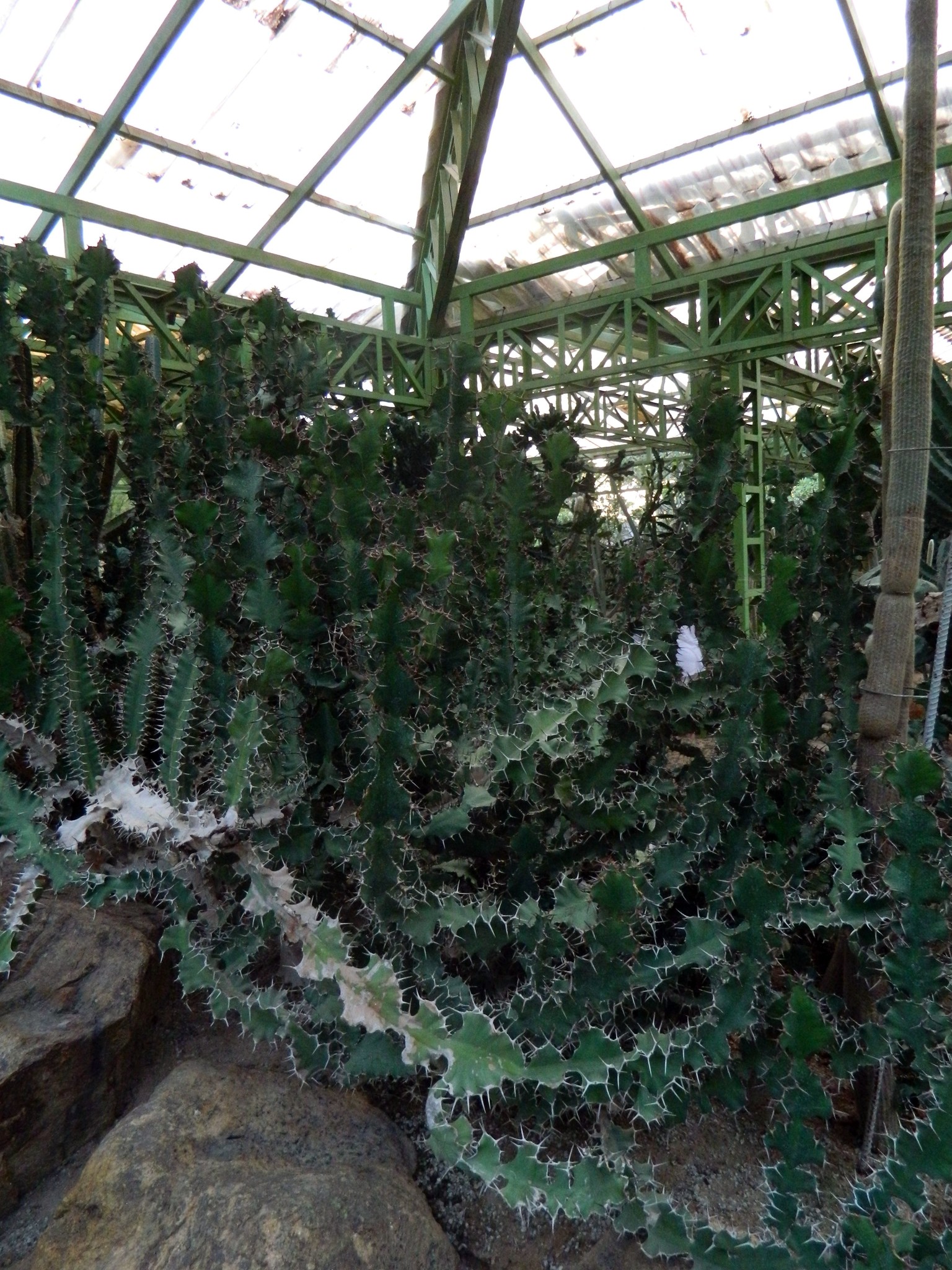 http://content.foto.my.mail.ru/mail/kosta999/8/h-2987.jpg