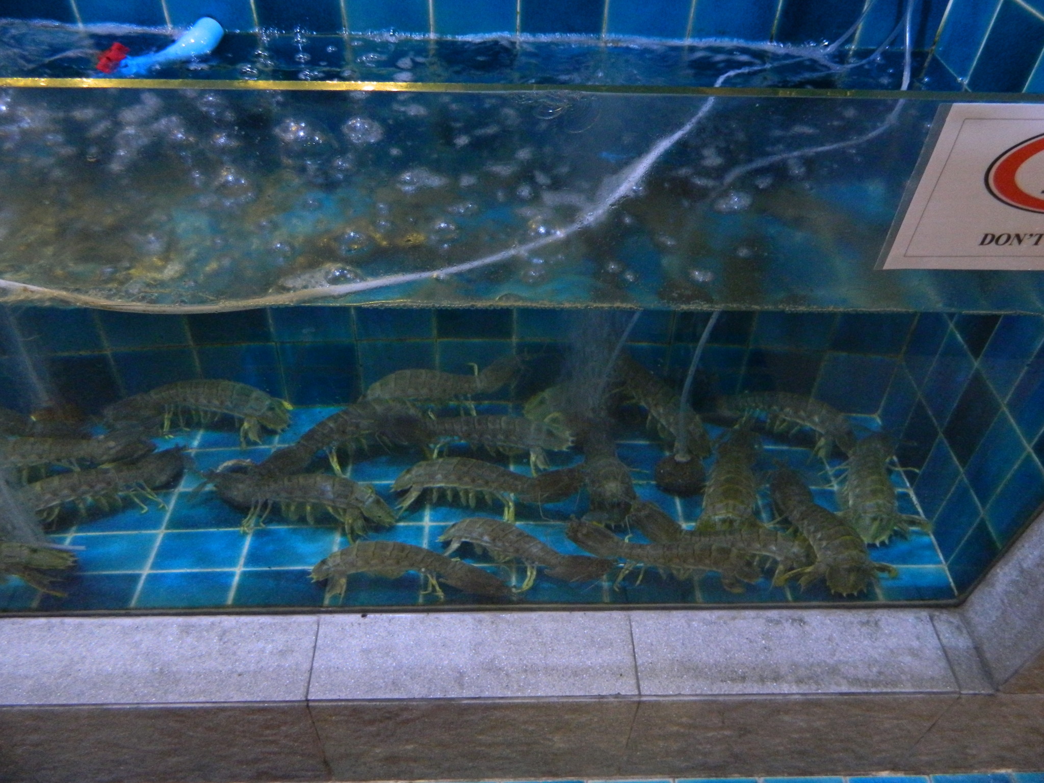 http://content.foto.my.mail.ru/mail/kosta999/aqua/h-2952.jpg