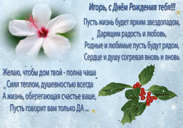Поздравления в стихах к дню рождения игорю Поздравления в стихах к дню рождения игорю
