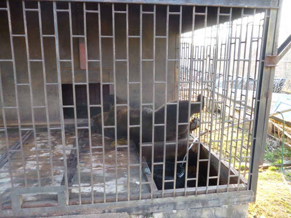 http://content.foto.my.mail.ru/mail/lfor/1067/i-1103.jpg