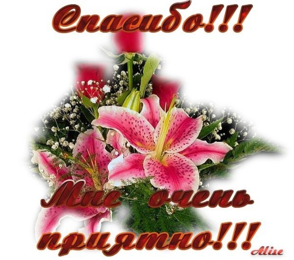 Открытка Благодарность За Поздравления В Одноклассниках