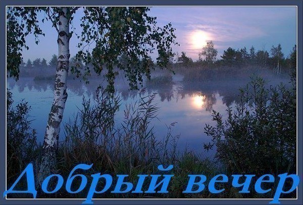 Стих добрый вечер вот и я Стих добрый вечер вот и я