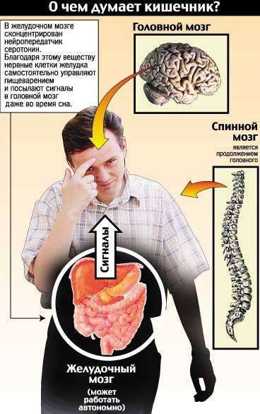 Головная боль связанная с желудком Головная боль связанная с желудком