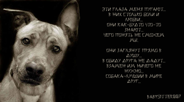 Про французский поцелуй стих Про французский поцелуй стих