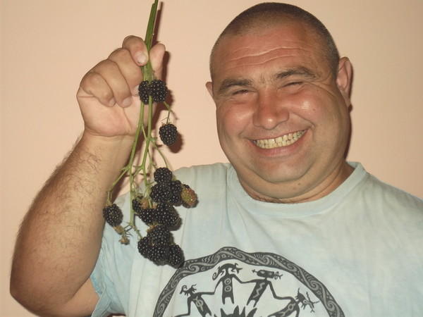 Сорт жемчуг сабо виноград Сорт жемчуг сабо виноград