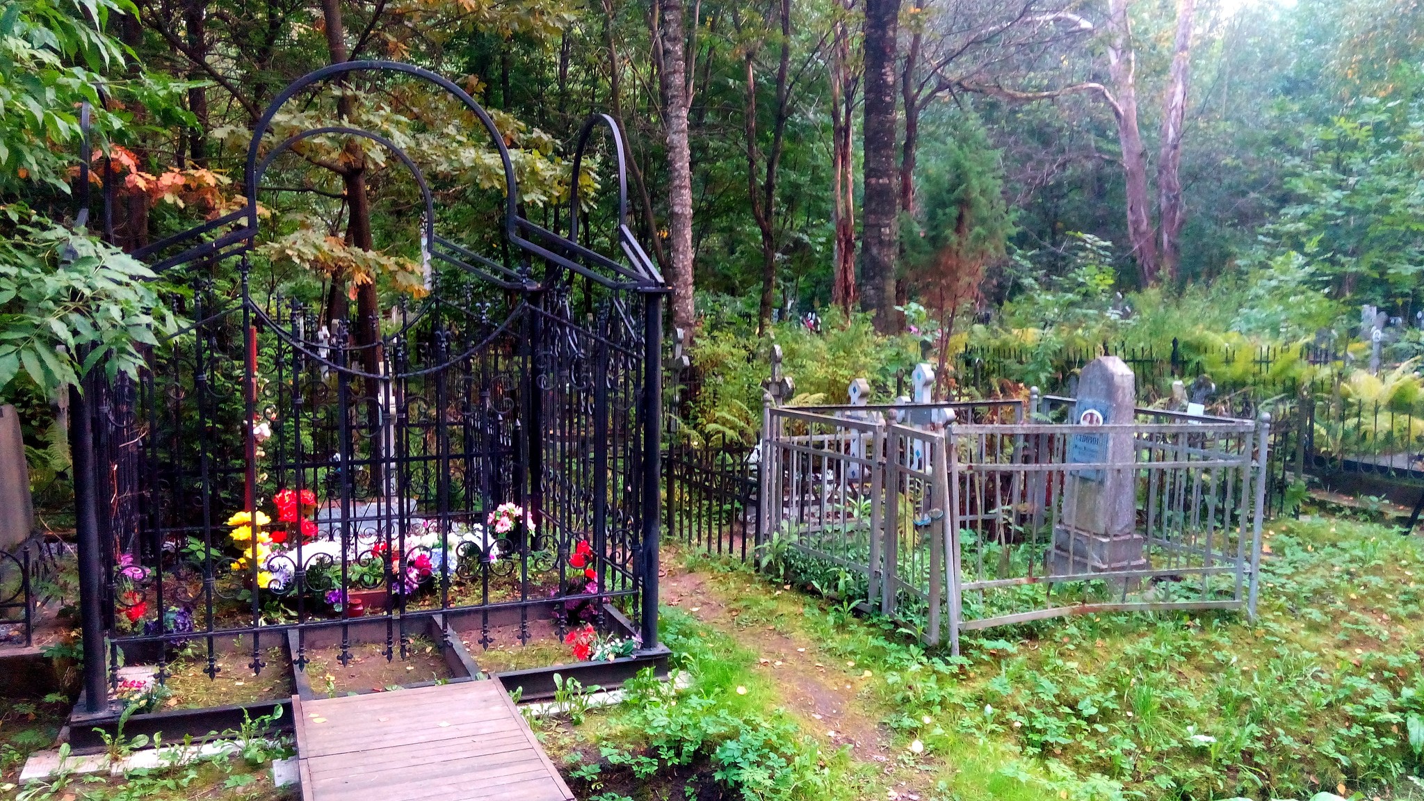 Серафимовское кладбище могила родителей Путина