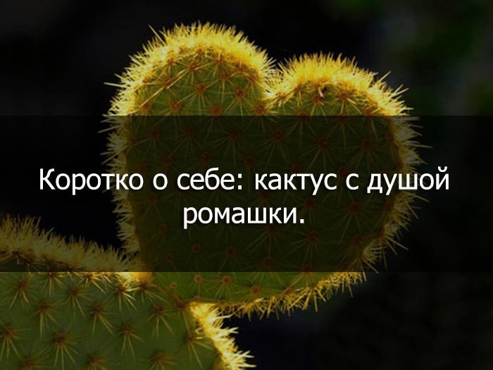 Расскажи о себе одной картинкой