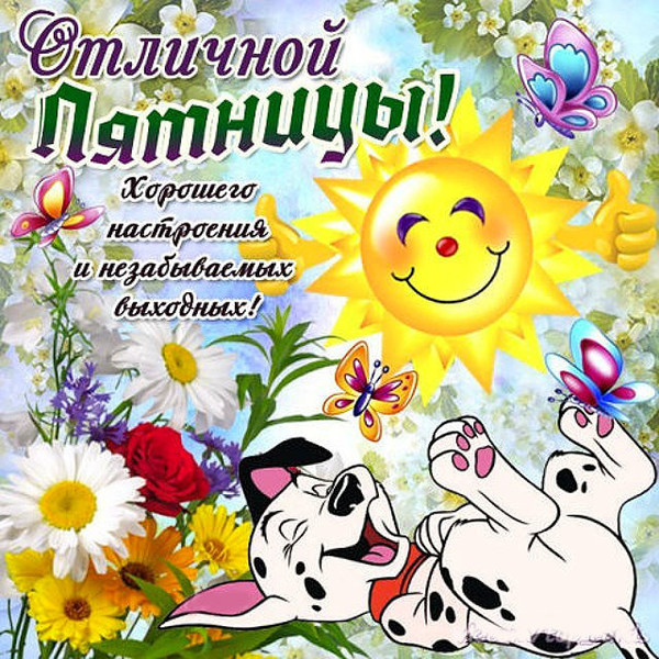 Алексанян Тигран Альбертович пластический хирург. Отзывы «Сонник Курица приснилась, к чему снится во сне Курица»