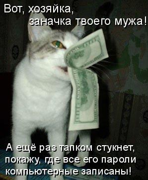 Котоматрица))) 