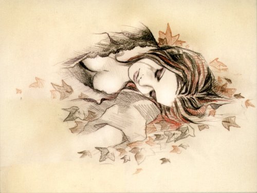 13.        