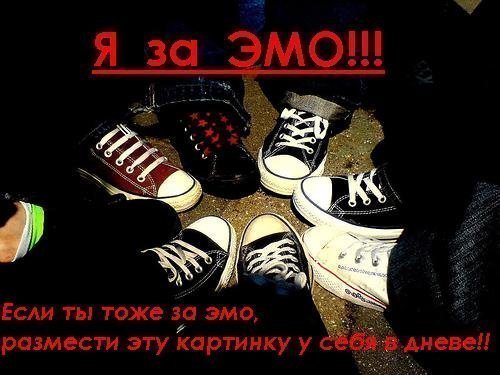 Ошибка 506 что делать Ошибка 506 что делать