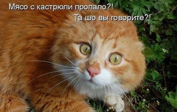 Интересные вещи своими руками. Полезные Гардероб на фотосесиию - m