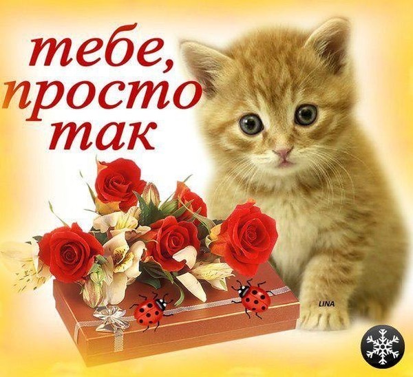 Открытка подарок мужчине просто так 38