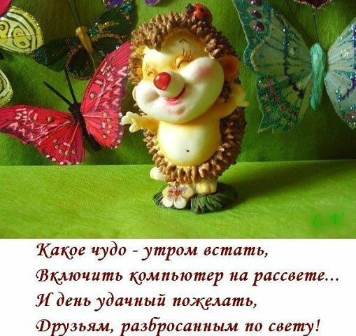 Пожелания друзьям с приколами Пожелания друзьям с приколами