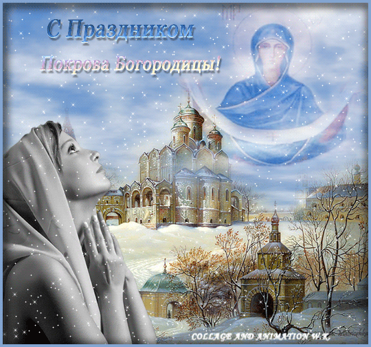 Женьшень и его выращивание в сибири 72