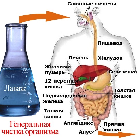 Как поразить на собеседовании - Синтон Как обтянуть пластик кожей (Вводная) бортжурнал Citroen C4
