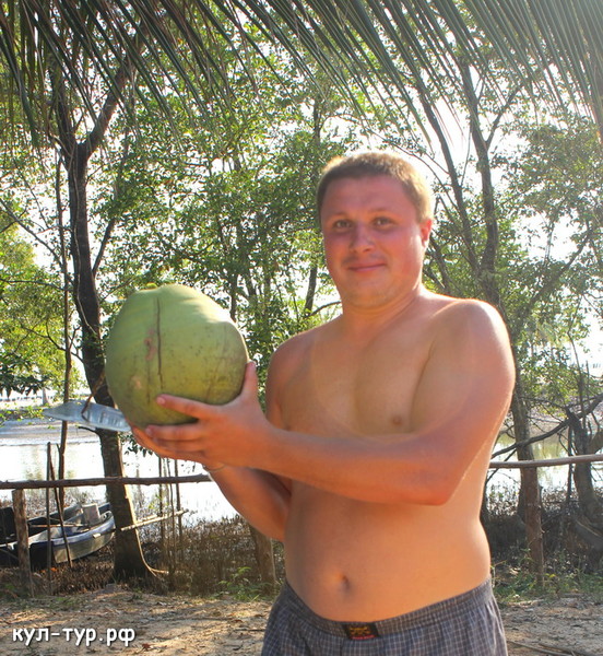 сорванный кокос