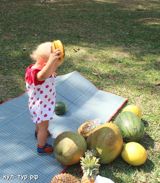 ребёнок любит фрукты ест витамины