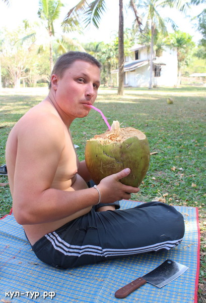 вкусный гигантский кокос