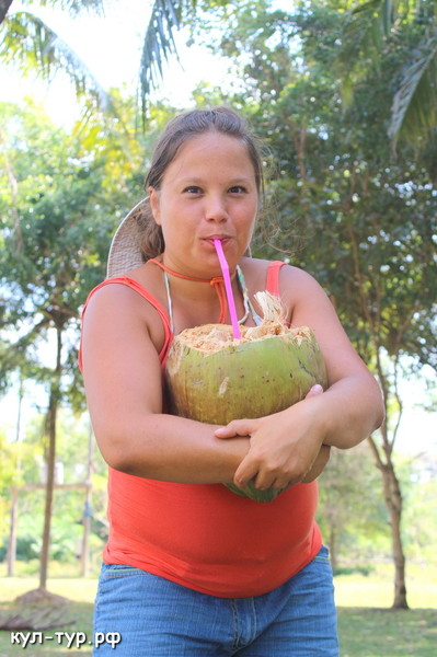 купить гигантский кокос