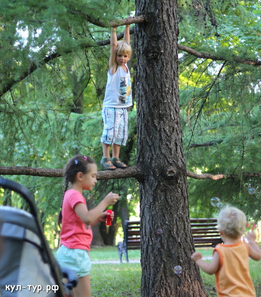 дети играют в парке
