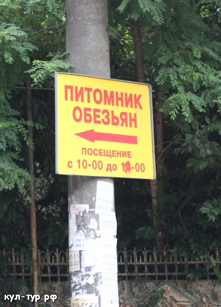 обезьяний питомник
