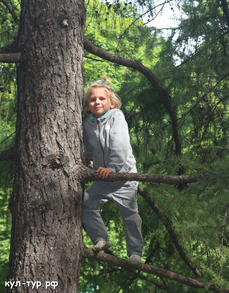 ребёнок на дереве
