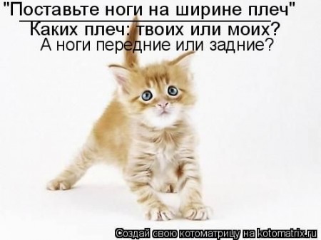 Наши любимцы - Страница 24 I-97