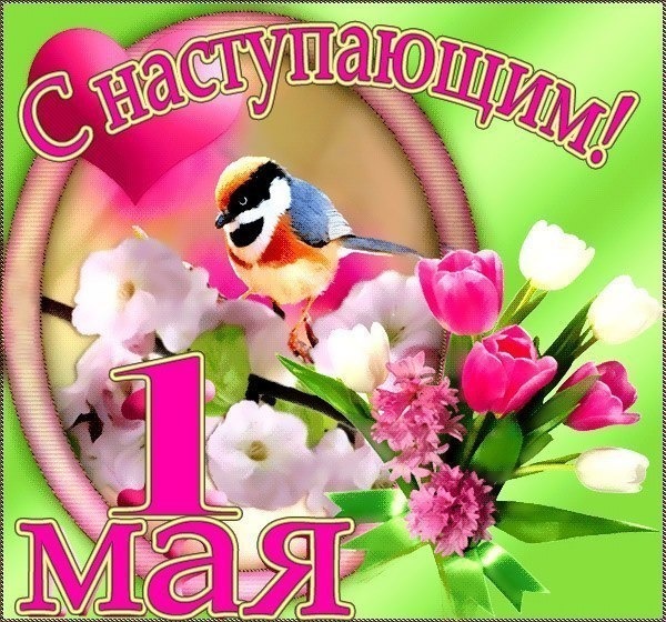 Поздравления с наступающим маем Поздравления с наступающим маем