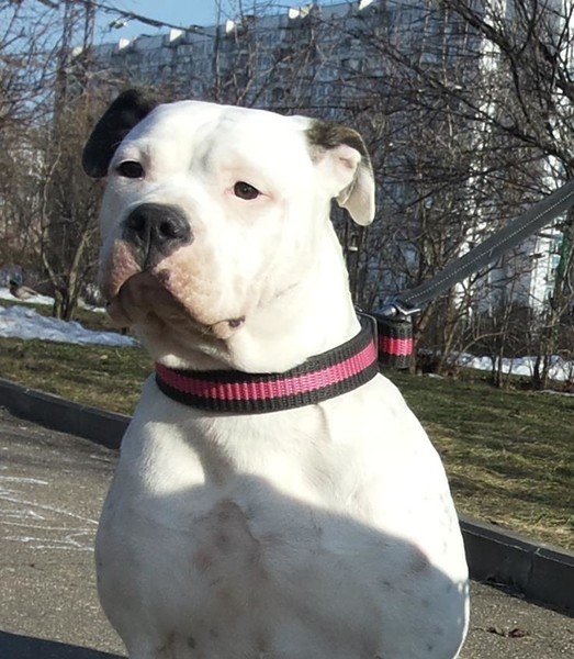 http://content.foto.my.mail.ru/mail/sergej.sergej1969/231/i-422.jpg