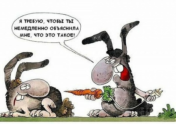 Правила этикета мужской деловой одежды Партнерские роды Отзывы покупателей