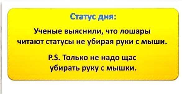Статус мой прикольный и смешной Статус мой прикольный и смешной