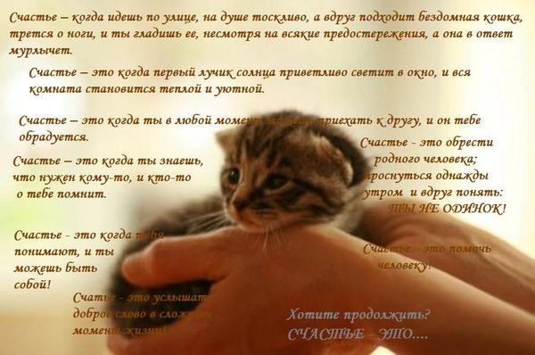 Анна кручинина читает стих ты знаешь мама Анна кручинина читает стих ты знаешь мама