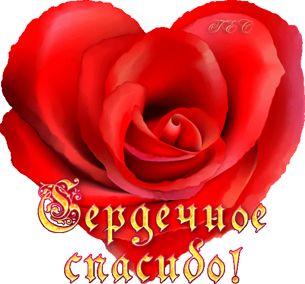 Поздравление с днём рождения подругу татьяну