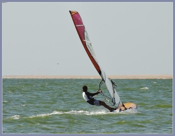 h-229.jpg
