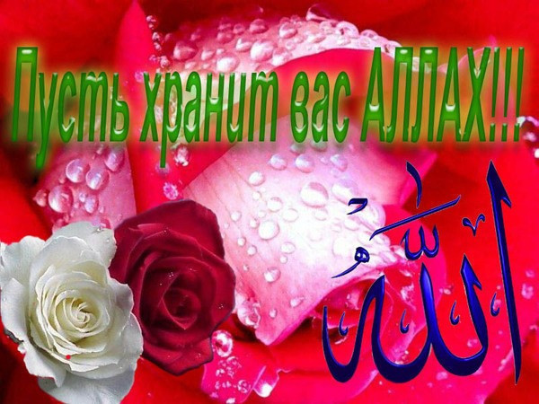 Поздравления на мусульманской свадьбе 31