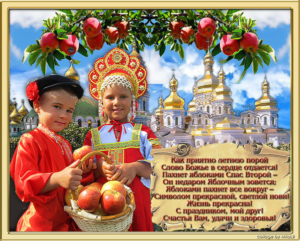 Когда лучше покупать кольца на свадьбу Когда лучше покупать кольца на свадьбу