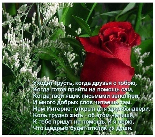 Поздравления с днем рождения женщине дементьев6 Поздравления с днем рождения женщине дементьев6