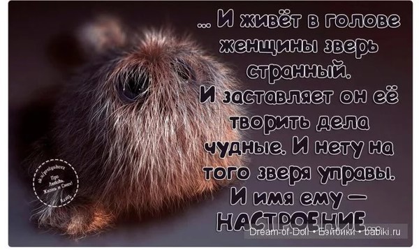 Что у меня в голове стих Что у меня в голове стих